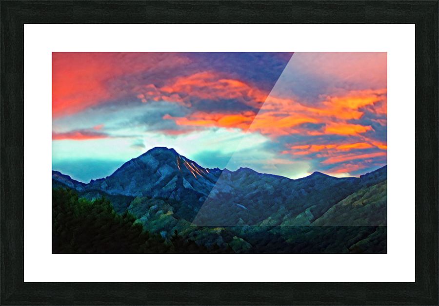  Fine Art print