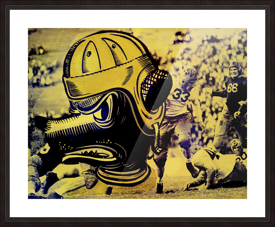 Vintage 1940s Cal Bear Art Picture Frame print