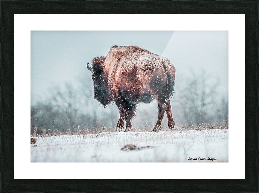 The Cold Walk Home Picture Frame print
