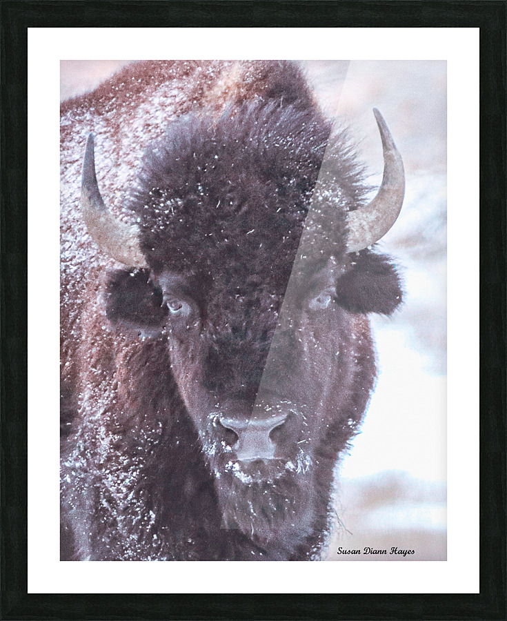 Catori Picture Frame print