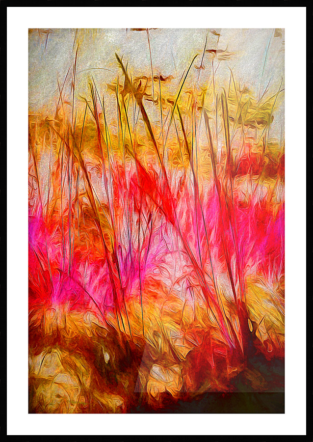  Fine Art print