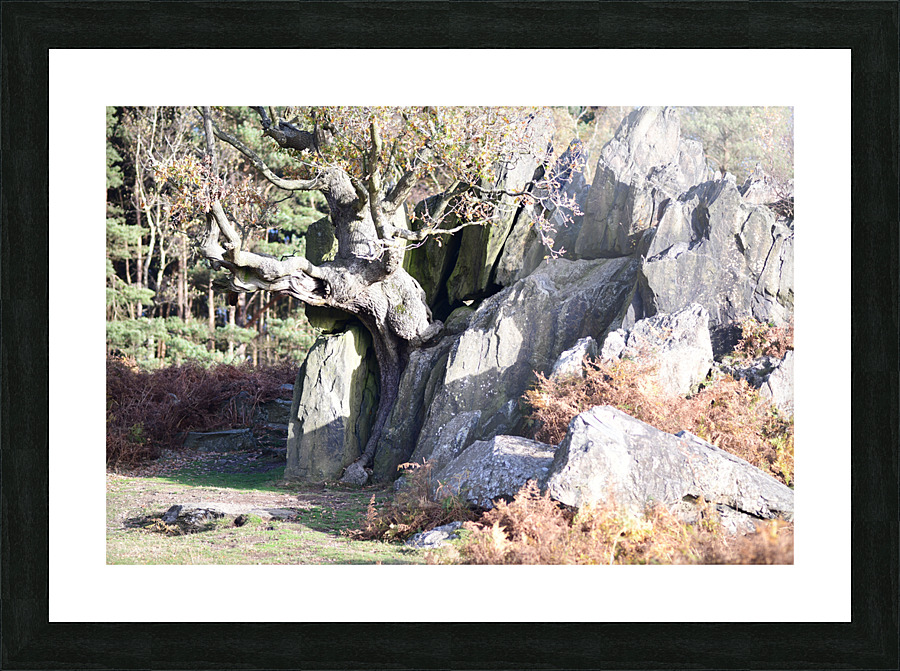 JPT 1617 Picture Frame print