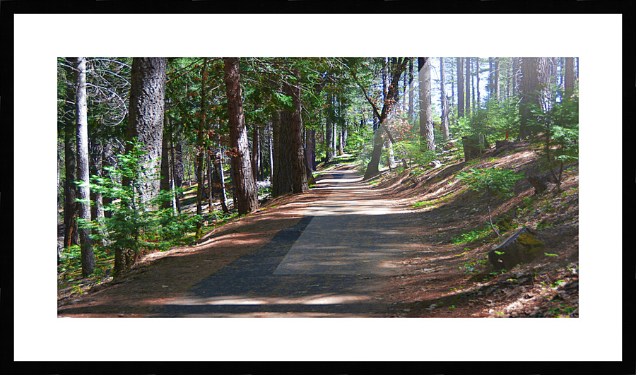  Fine Art print