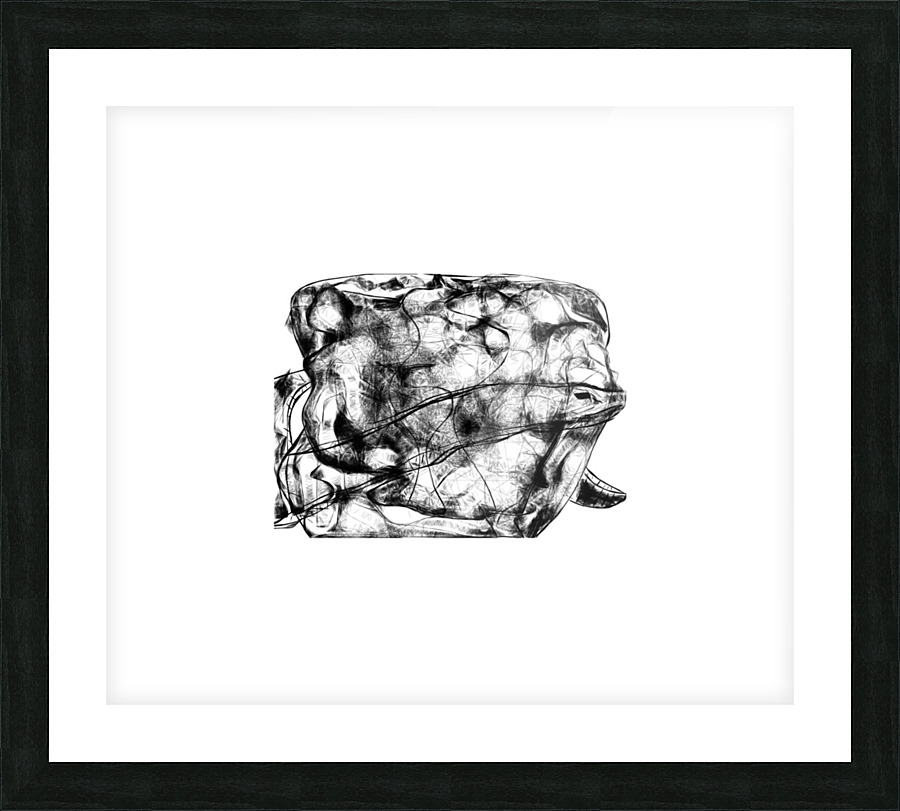 Hidden and waiting Picture Frame print