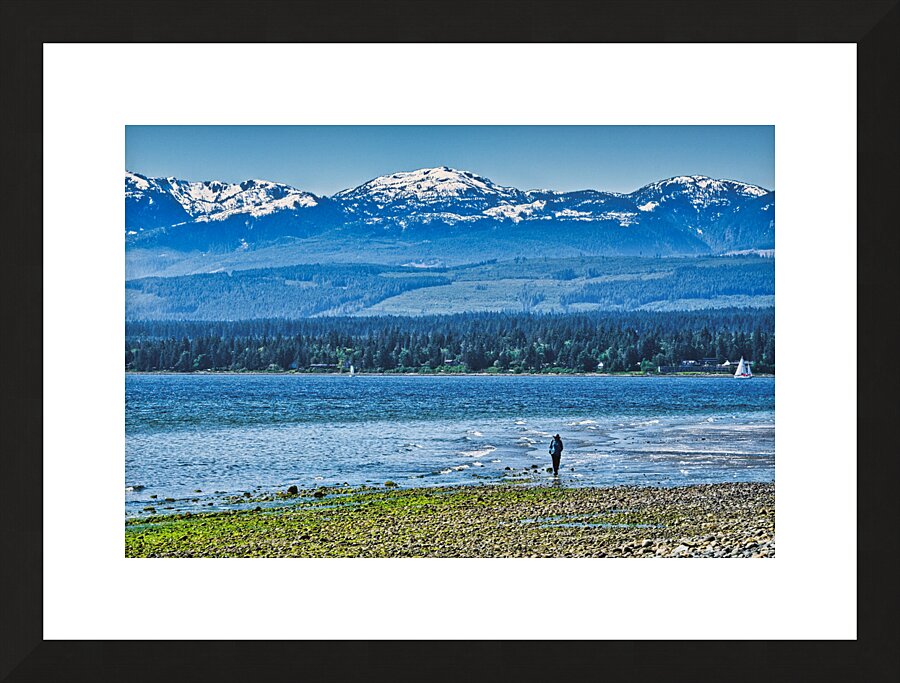 Enjoying The Day  Framed Print Print