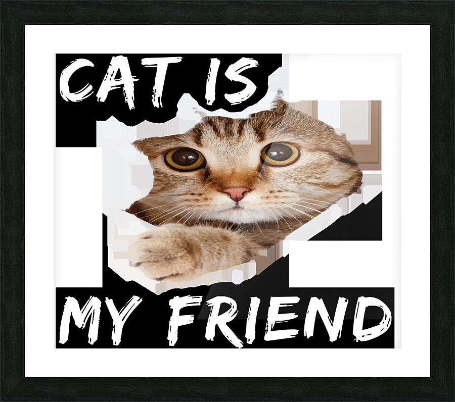 cat posteljina Picture Frame print