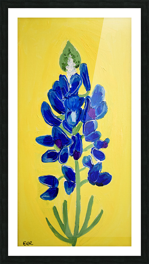 Texas Bluebonnet. Erin R Picture Frame print