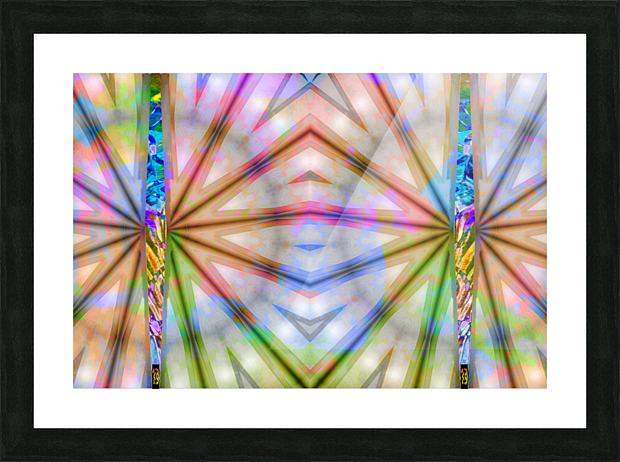 VORTEX Picture Frame print