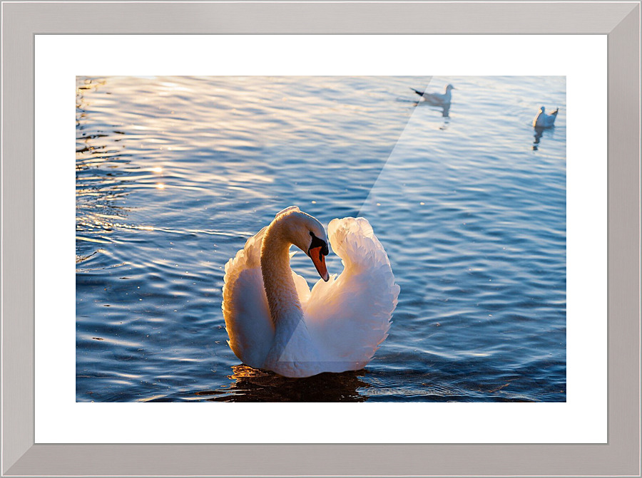 659 Picture Frame print