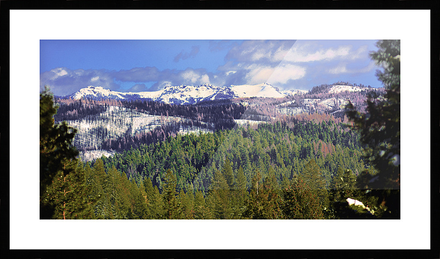  Fine Art print