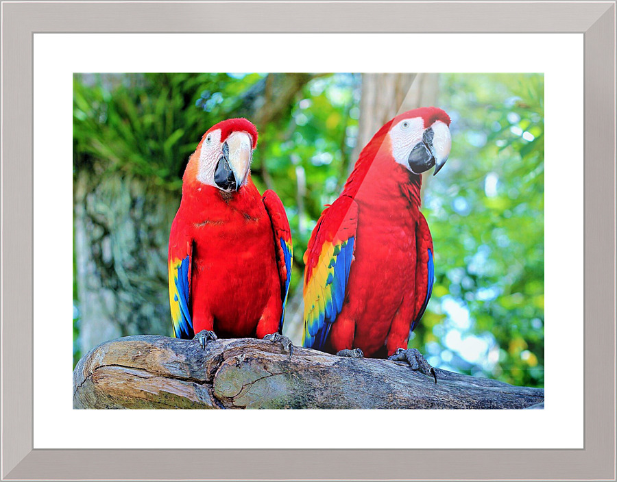 685 Picture Frame print