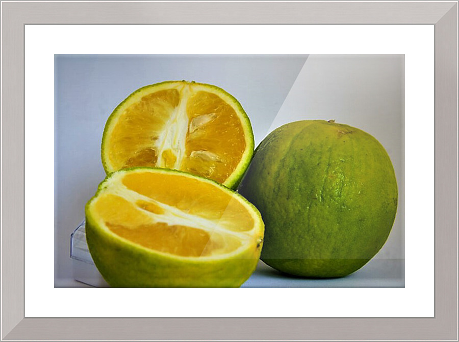 698 Picture Frame print