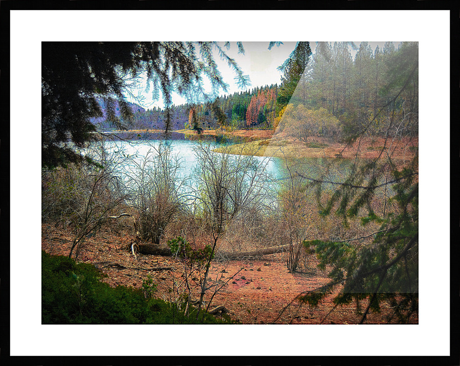  Fine Art print