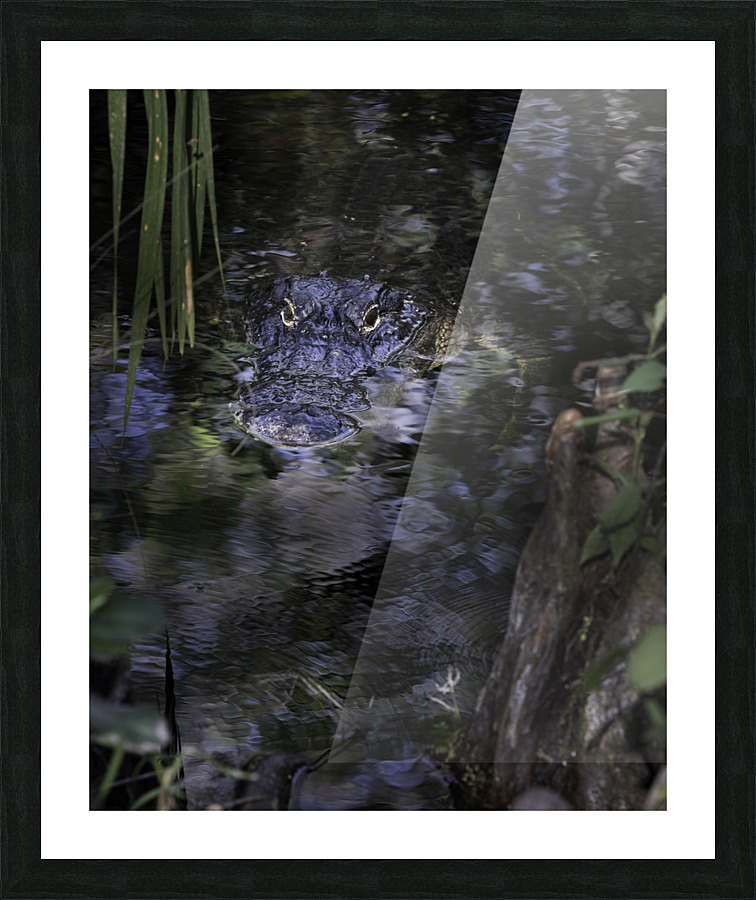 20220216  DSC9762 Edit 20x16 large 8bit Picture Frame print