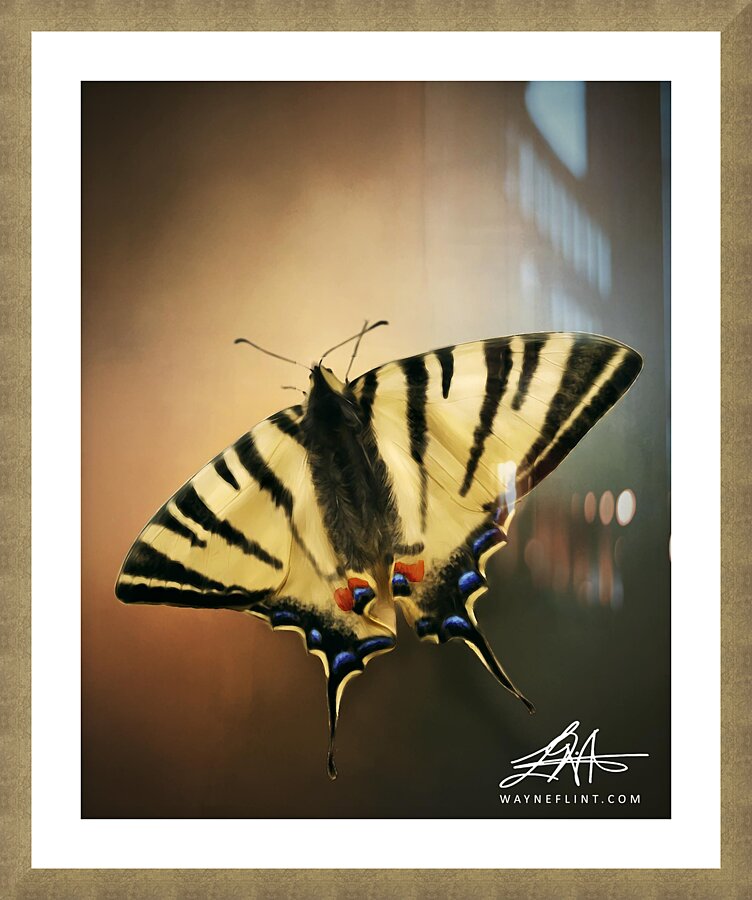 Digital Butterfly Picture Frame print