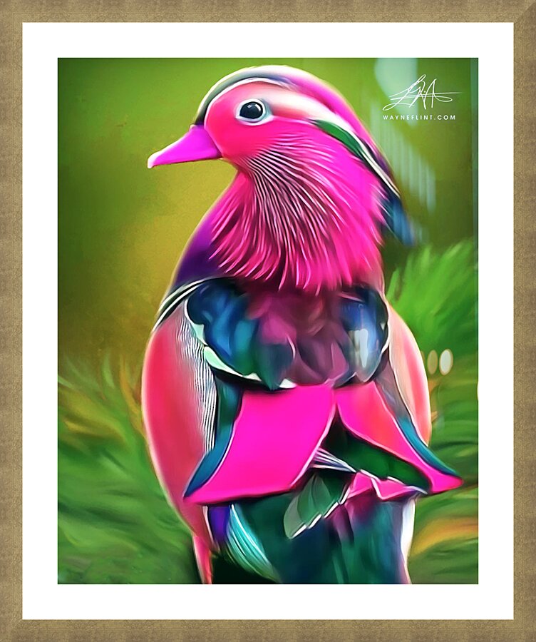 Beautiful Bird 2 Picture Frame print