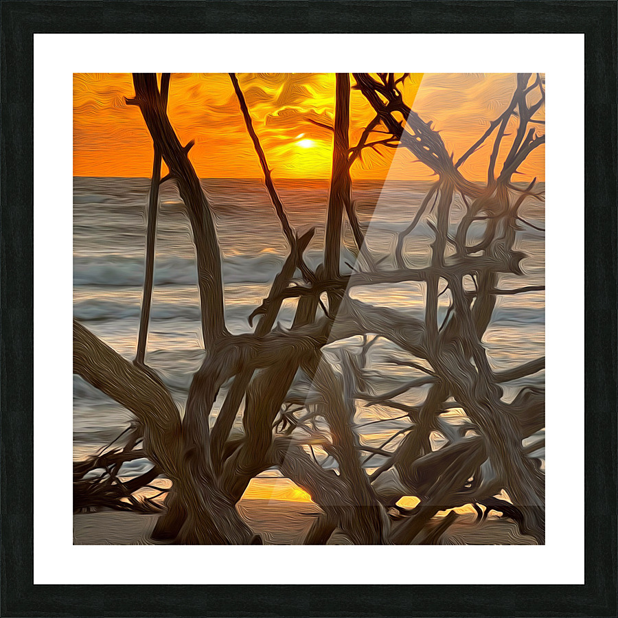 Through The Driftwood  Picture Frame print