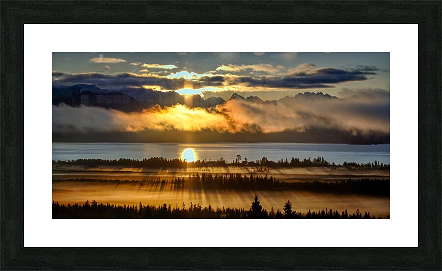 Sunrays and Trees Picture Frame print