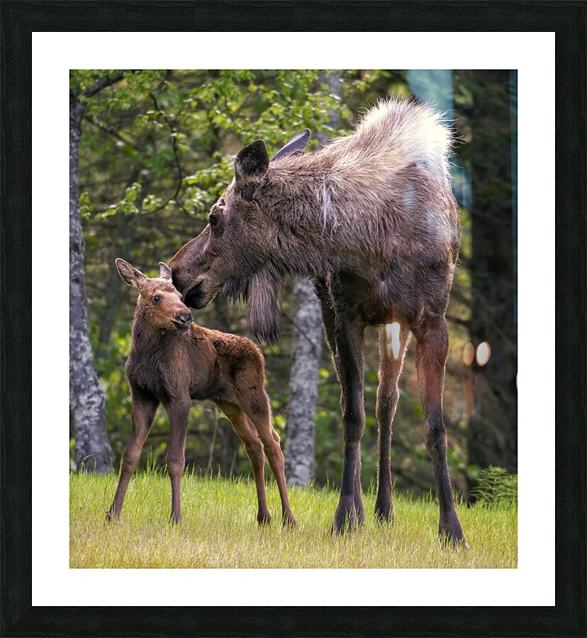 First Steps Picture Frame print