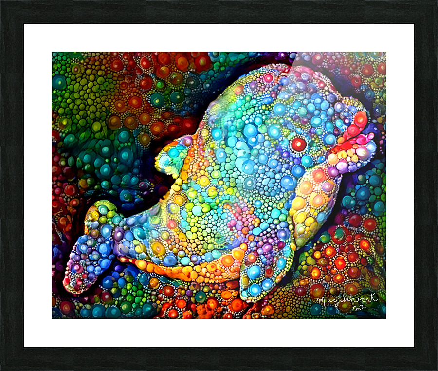 Bubbles The Baby Dolphin Picture Frame print