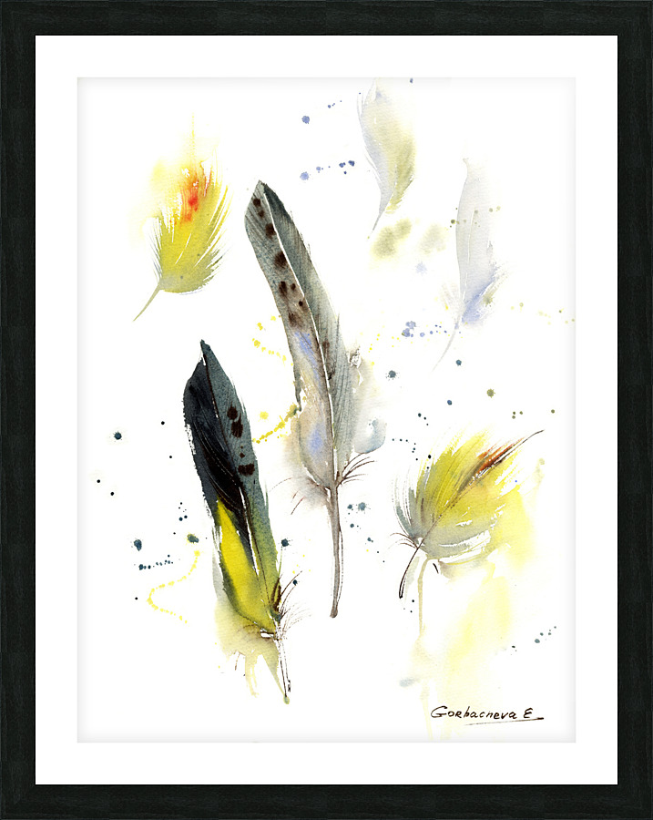 Parrot feathers Impression et Cadre photo
