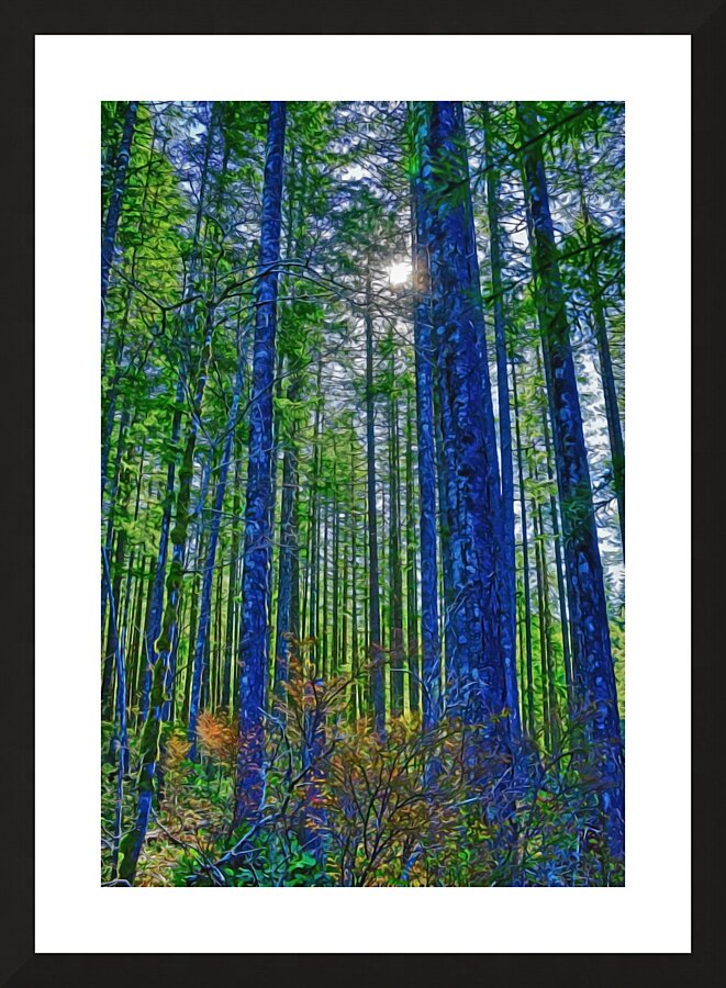 Oyster River Park Picture Frame print