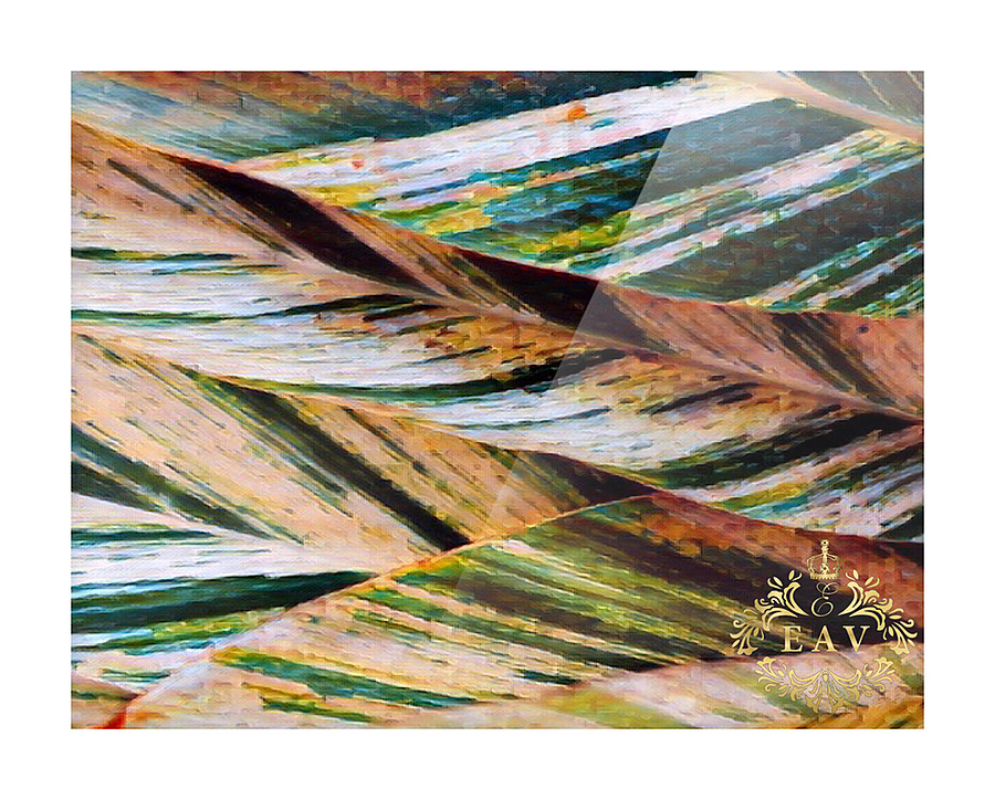 Palms   Impression encadrée