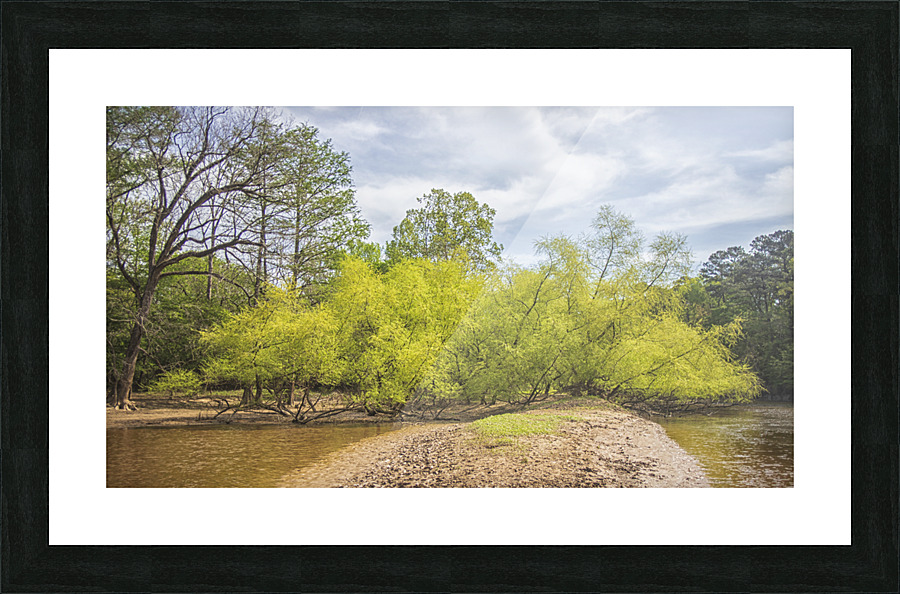 Spring Along the Neuse River - Wayne County North Carolina Picture Frame print