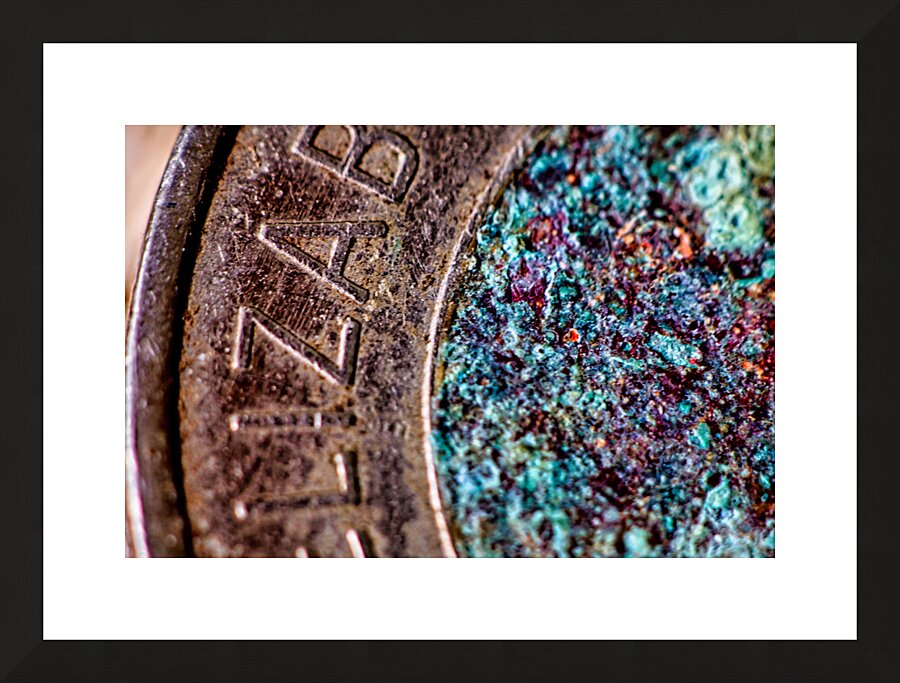 Toonie  Framed Print Print