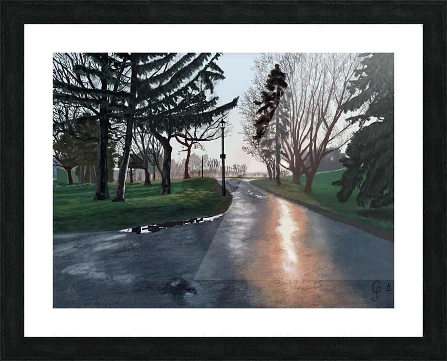 Apres la pluie Picture Frame print