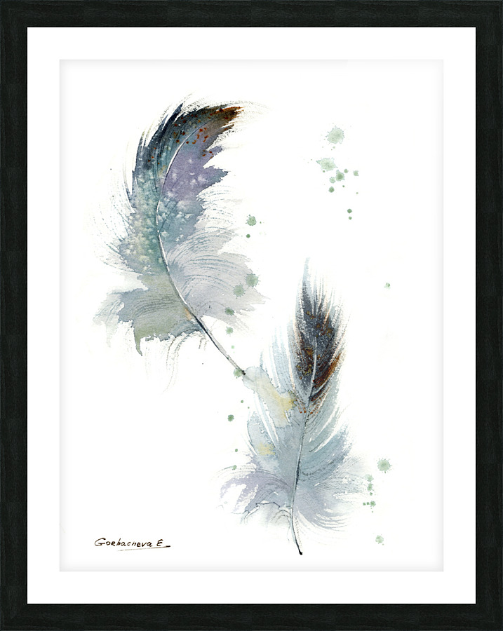 Gray feathers  Framed Print Print