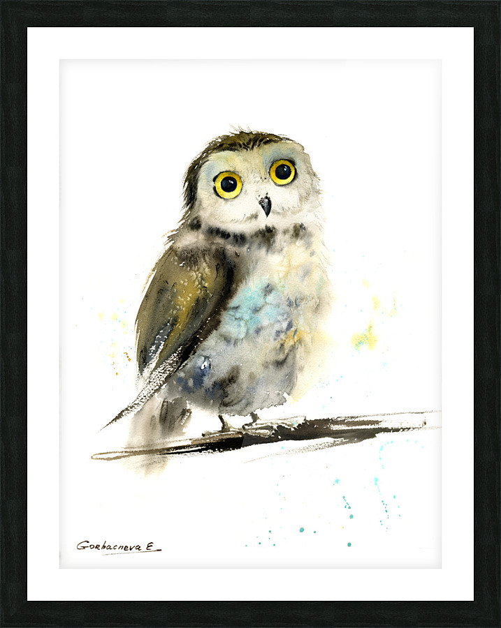 Little owl on a branch Picture Frame print