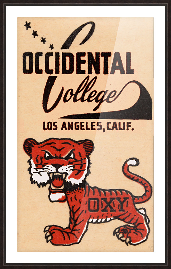 Vintage Occidental College Tigers Art Picture Frame print