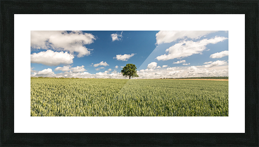 Tree  Framed Print Print