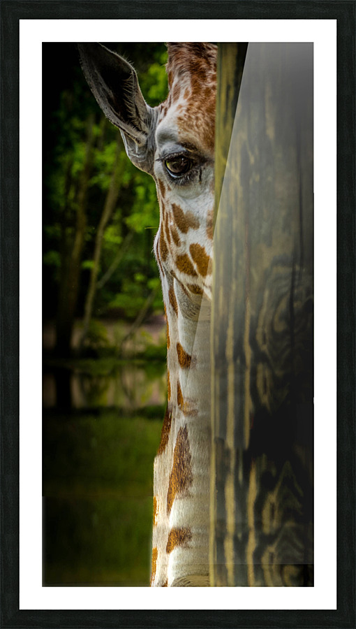 I ll be Watching You Picture Frame print