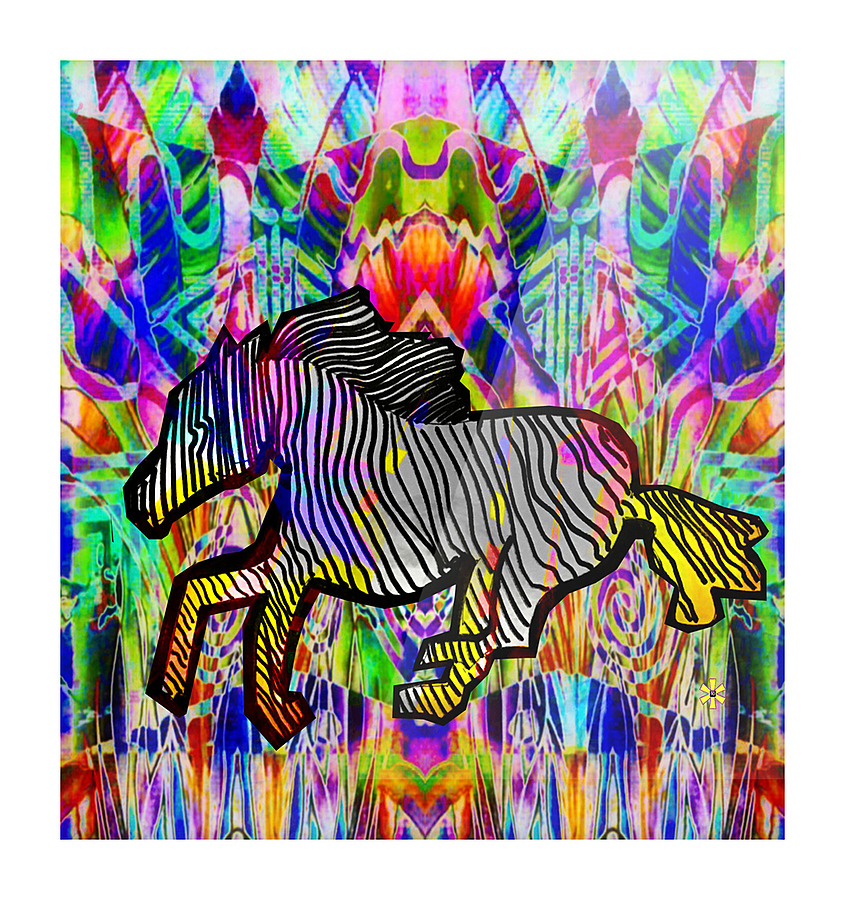 FLYING ZEBRA Picture Frame print