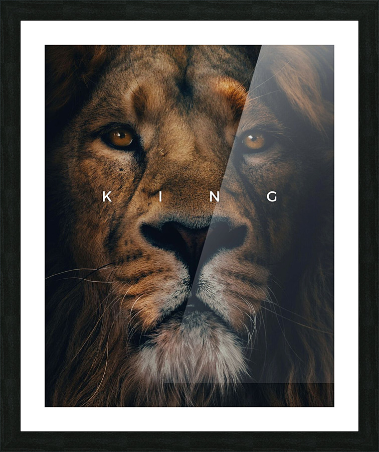 Lion King  Picture Frame print