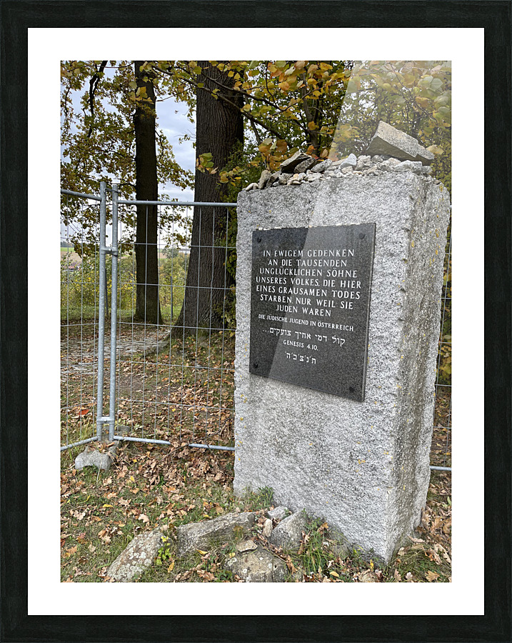 2BE03DA7 48E2 4617 9203 5B24AE5CC2E2 Picture Frame print