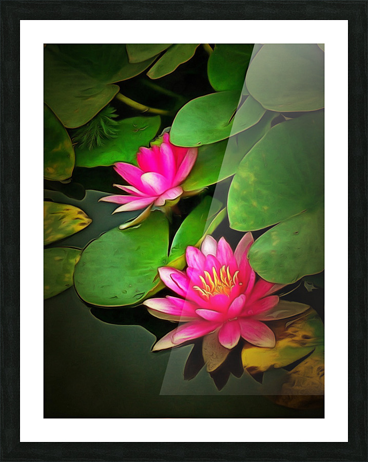 k 8 11o 76b   The Water Lilies Picture Frame print