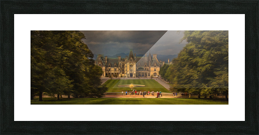 Biltmore A Picture Frame print