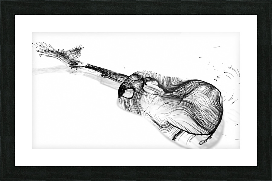 Curves of Sound Picture Frame print