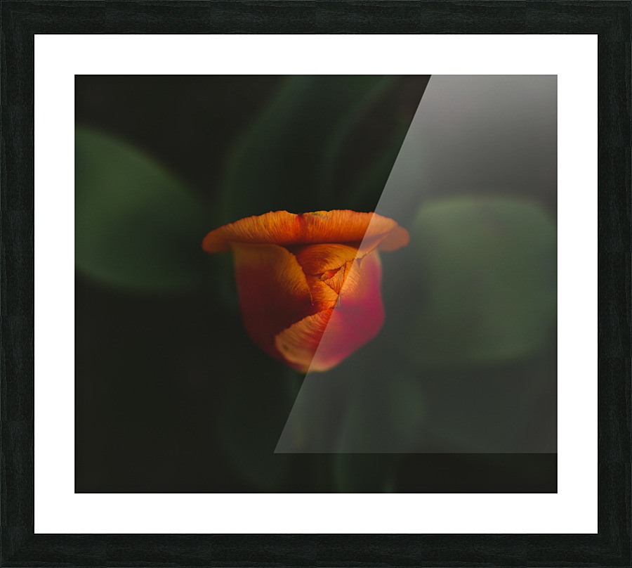 2D129917 4403 4BC1 9556 0C82F687A30C Picture Frame print