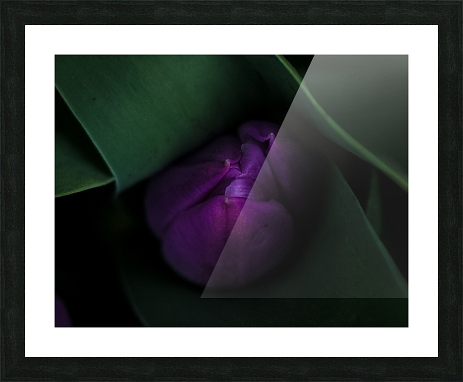 E54902A0 D551 4DE8 892D 0819F3726D5A Picture Frame print