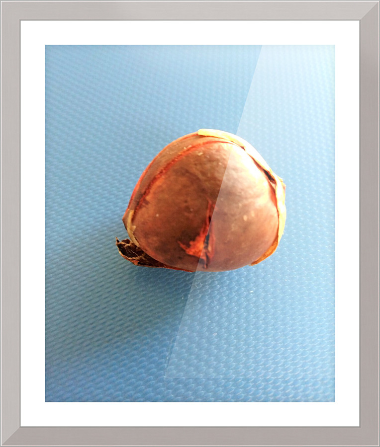 967 Picture Frame print