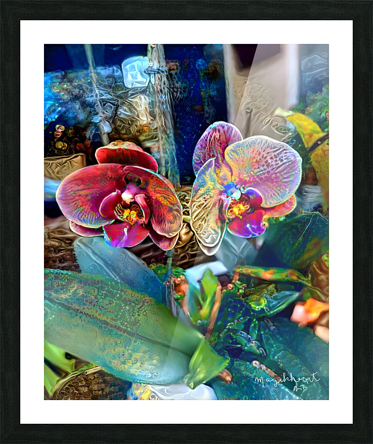 Orchid 1 Picture Frame print
