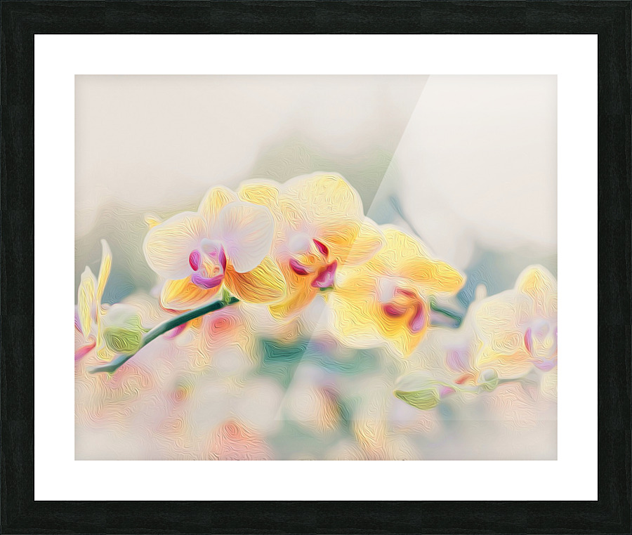 Orchid 2 Picture Frame print