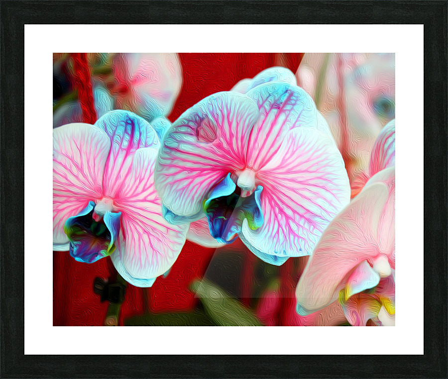 Orchid 6 Picture Frame print