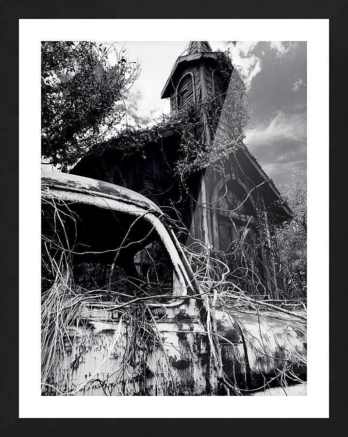 Nature Consumes  Framed Print Print