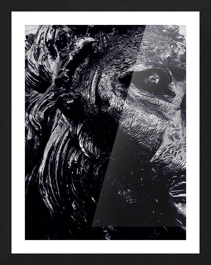 The Lion  Framed Print Print