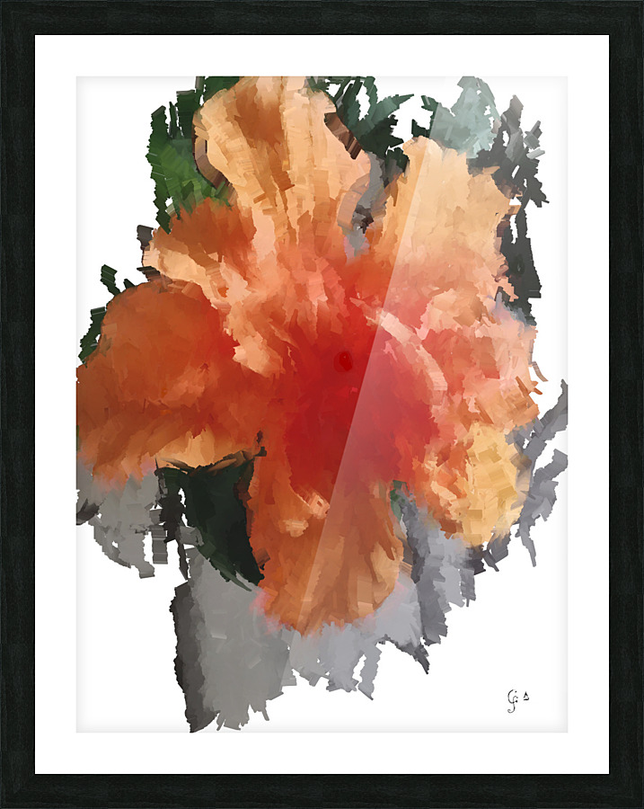 Hibiscus double Picture Frame print